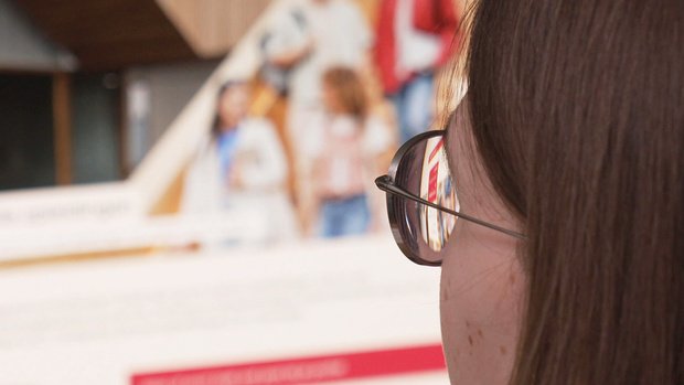 Less Talking, More Action: digital Accessibility in Dutch Higher Education